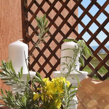بيت للعطل Alekos Beach Houses-seti
